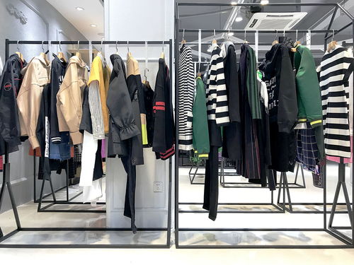 一二线女装品牌折扣店与鞋帽批发的成功销售策略探析